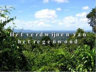 Het verdwijnen van het regenwoud 