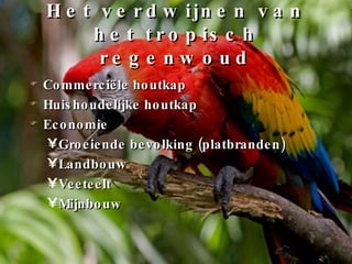 Het verdwijnen van het tropisch regenwoud Commerciële houtkap Huishoudelijke houtkap Economie Groeiende bevolking (platbranden) Landbouw Veeteelt Mijnbouw 