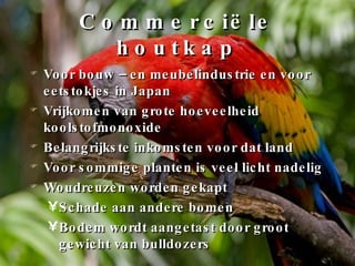 Commerciële houtkap Voor bouw – en meubelindustrie en voor eetstokjes in Japan Vrijkomen van grote hoeveelheid koolstofmonoxide Belangrijkste inkomsten voor dat land Voor sommige planten is veel licht nadelig Woudreuzen worden gekapt Schade aan andere bomen Bodem wordt aangetast door groot gewicht van bulldozers 