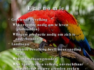 Economie Groeiende bevolking Meer ruimte nodig om te leven (platbranden) Hogere productie nodig om zich te onderhouden Landbouw Grotere bevolking heeft meer voeding nodig Meer landbouwgronden Na 5 jaar teelten volledig onvruchtbaar geworden   nieuwe gronden zoeken 