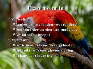 Economie Veeteelt Aanleg van weilanden voor runderen Door duurder worden van rundvlees Grond vlug uitgeput Mijnbouw Grote inkomst voor deze gebieden Gebruikt voor energievoorziening Belang voor industrie 