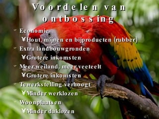 Voordelen van ontbossing Economie Hout, mijnen en bijproducten (rubber) Extra landbouwgronden Grotere inkomsten Meer weiland, meer veeteelt Grotere inkomsten Tewerkstelling verhoogt Minder werklozen Woonplaatsen Minder daklozen 