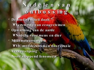 Nadelen van ontbossing De biodiversiteit daalt Verstoring van ecosystemen Opwarming van de aarde Nadelig voor mens en dier Meer natuurrampen Vb. modderstromen door erosie Verwoestijning Nooit stoppend fenomeen 