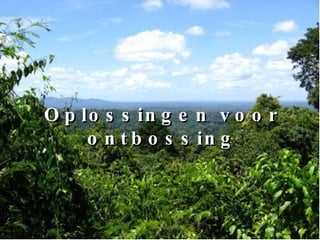 Oplossingen voor ontbossing 