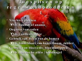 Toespitsen op regenwoudproducten 1 Vruchten plukken Vb. banaan of ananas Oogsten van zaden Vb. vanilleorchidee Gebruik van delen van de bomen Vb. binnenbast van kaneelboom, rubber Gebruik van bloesems/ bloemknoppen Vb. etherische oliën / kruidnagel 