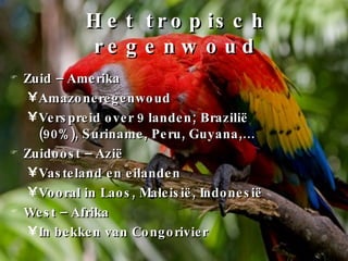 Het tropisch regenwoud Zuid – Amerika Amazoneregenwoud Verspreid over 9 landen; Brazilië (90%), Suriname, Peru, Guyana,… Zuidoost – Azië Vasteland en eilanden Vooral in Laos, Maleisië, Indonesië West – Afrika In bekken van Congorivier 
