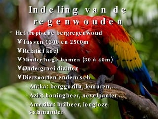 Indeling van de regenwouden Het tropische bergregenwoud Tussen 1200 en 2500m Relatief koel Minder hoge bomen (30 à 40m) Ondergroei dichter Diersoorten endemisch  Afrika: berggorilla, lemuren,… Azië: honingbeer, nevelpanter,… Amerika: brilbeer, longloze salamander 