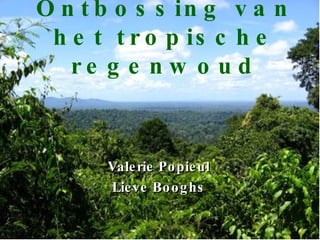 Ontbossing van het tropische regenwoud Valerie Popieul Lieve Booghs 