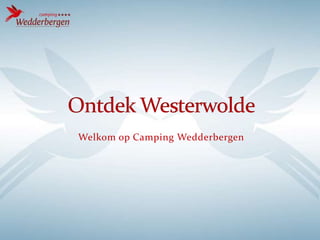Welkom op Camping Wedderbergen

 