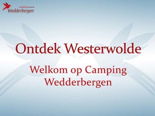 Welkom op Camping
Wedderbergen

 