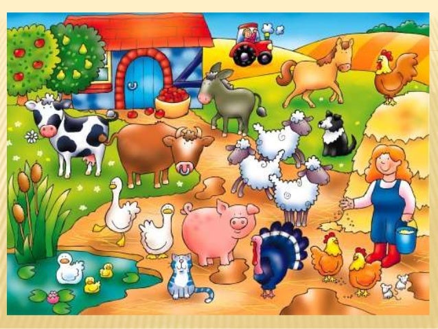 unit 12 on the farm