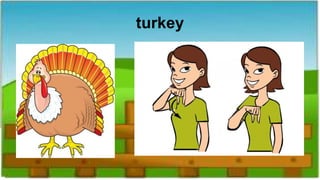 turkey
 