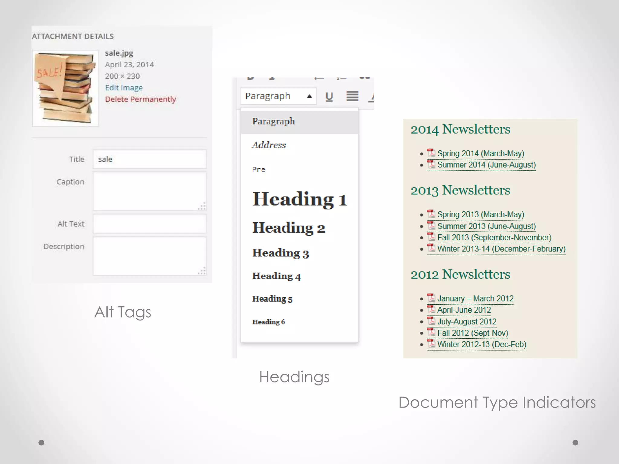 Alt Tags
Headings
Document Type Indicators
 