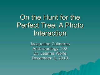 On the Hunt for the Perfect Tree: A Photo Interaction Jacqueline Colindres Anthropology 102 Dr. Leanna Wolfe December 2, 2010 