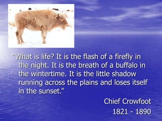 “What is life? It is the flash of a firefly in the night. It is the breath of a buffalo in the wintertime. It is the little shadow running across the plains and loses itself in the sunset.” Chief Crowfoot 1821 - 1890 