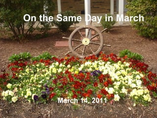 On the Same Day in March March 14, 2011 