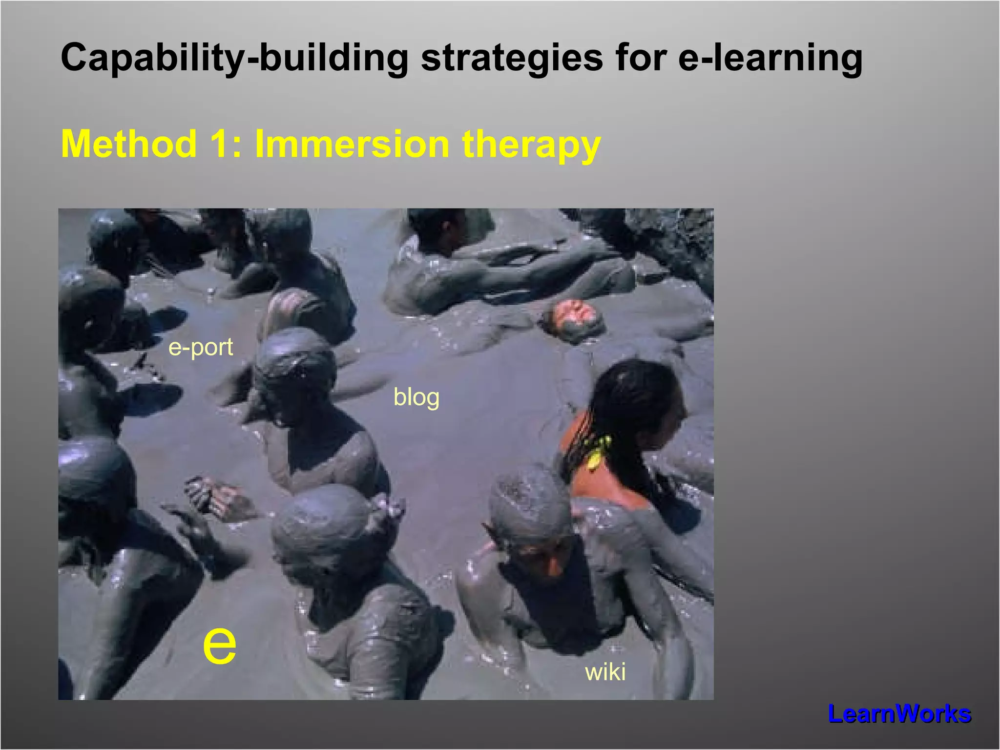 Capability-building strategies for e-learning   Method 1: Immersion therapy e blog wiki e-port 