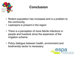 Impact of anthropogenic activities on the emergency and spread of zoonotic diseases in Tana River County, Kenya