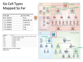 Six Cell Types
Mapped So Far

CL_0002419

CL_0000815

CL_0000625
CL_0000624

CL_0000236

(Authority source is HIPC Lyoplate
definitions)

CL_0000623

 