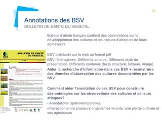 38

Annotations des BSV
BULLETIN DE SANTE DU VEGETAL
Bulletin d’alerte français contient des observations sur le
développement des cultures et les risques d’attaques de leurs
agresseurs
BSV distribués sur le web au format pdf
BSV hétérogènes: Différents auteurs, Différents style de
présentation, Différents contenus (texte structuré, tableau, image)
Aider la recherche d'information dans ces BSV + reconstruire
des données d'observation des cultures documentées par les
BSV

Comment aider l'annotation de ces BSV pour construire
des ontologies sur les observations des cultures et de leurs
attaques?
• Annotations Spatio-temporelles,
•Interaction entre plusieurs organismes vivants: une plante cultivée et
ses agresseurs

 