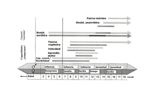 Capacidades
„tempranas“
Capacid.
“neutrales”
 