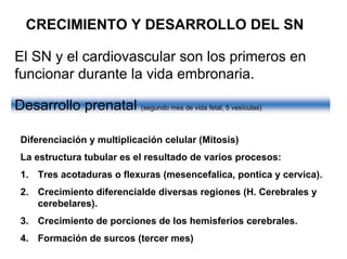 Ontogenia y Filogenia