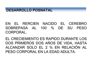 Ontogenia y Filogenia