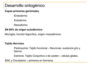 Ontogenia y Filogenia