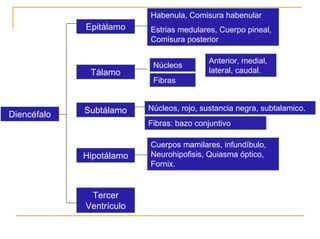 Ontogenia y Filogenia