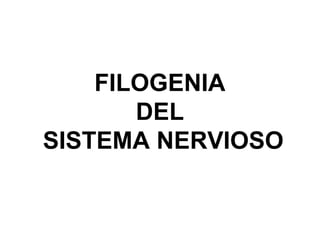 Ontogenia y Filogenia