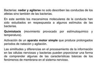 Ontogenia y Filogenia