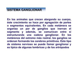 Ontogenia y Filogenia