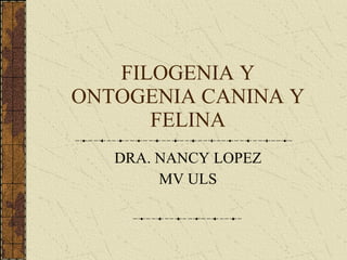 FILOGENIA Y ONTOGENIA CANINA Y FELINA DRA. NANCY LOPEZ MV ULS 