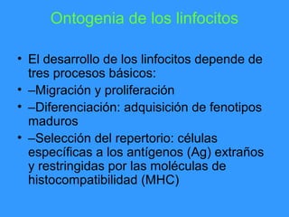 Ontogenia de los linfocitos

• El desarrollo de los linfocitos depende de
  tres procesos básicos:
• –Migración y prolifer...