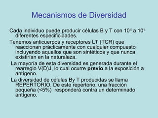 Mecanismos de Diversidad de Anticuerpos

• Disponibilidad de múltiples segmentos
  génicos V.
• Diversidad combinatorial: ...
