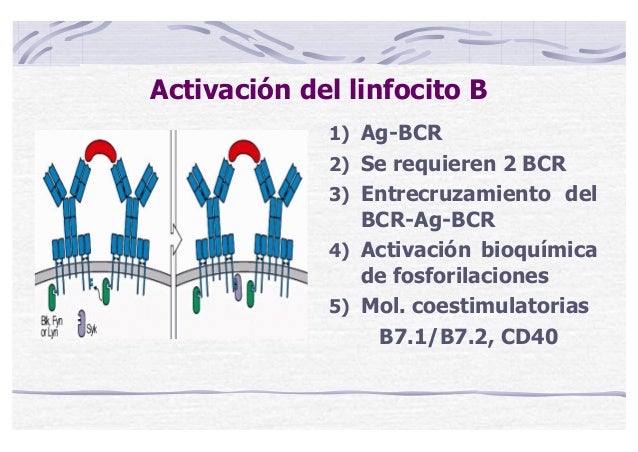 Curso online bioquimica Curso online bioquimica