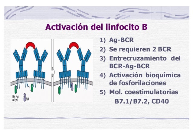 Curso online bioquimica