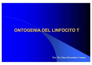 ONTOGENIA DEL LINFOCITO T




              Dra. Ma. Elena Hernández Campos
 
