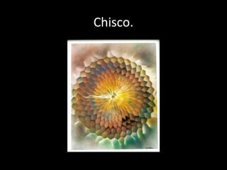 Chisco.
 