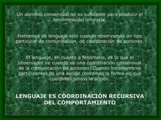 Un dominio consensual no es suficiente para producir el fenómeno del lenguaje. Hablamos de lenguaje solo cuando observamos un tipo particular de comunicación, de coordinación de acciones. El lenguaje, en cuanto a fenómeno, es lo que el observador ve cuando ve una coordinación consensual de la comunicación de acciones. Cuando los miembros participantes de una acción coordinan la forma en que coordinan juntos la acción. LENGUAJE ES COORDINACIÓN RECURSIVA DEL COMPORTAMIENTO 