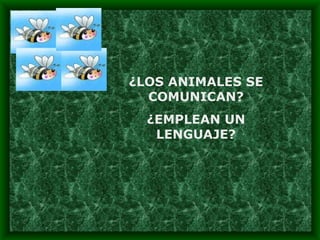¿LOS ANIMALES SE COMUNICAN? ¿EMPLEAN UN LENGUAJE? 
