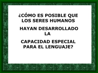 ¿CÓMO ES POSIBLE QUE LOS SERES HUMANOS HAYAN DESARROLLADO LA  CAPACIDAD ESPECIAL PARA EL LENGUAJE? 
