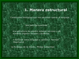 1. Manera estructural Condiciones biológicas que nos permiten operar el lenguaje Nos permite examinar: La estructura de nuestro sistema nervioso y de nuestros organos vocales y auditivos Relación entre lenguaje y cerebro – Norman Geschwind la fisiología de la dicción, Philipp Lieberman  