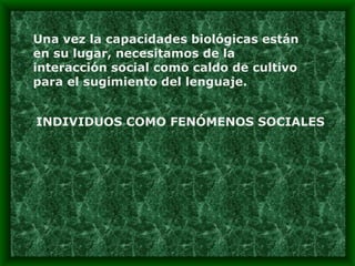 Una vez la capacidades biológicas están en su lugar, necesitamos de la interacción social como caldo de cultivo para el sugimiento del lenguaje. INDIVIDUOS COMO FENÓMENOS SOCIALES 