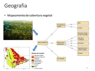 Geografia
• Mapeamentode cobertura vegetal
30
 