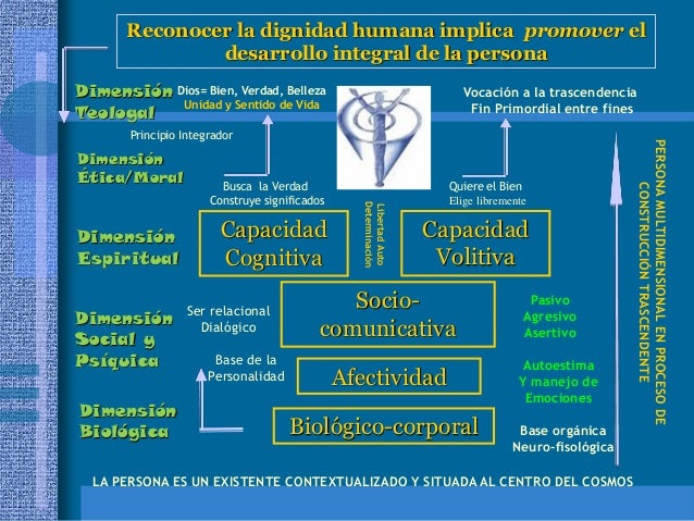 Ontologia humana