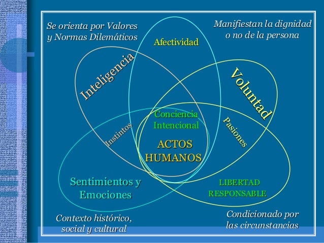 Ontologia humana