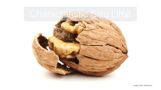 Characteristic Size Limit
Image credits: Shutterstock