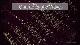 Characteristic Wave
Image credits: Shutterstock