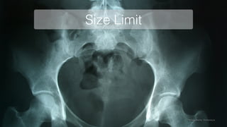 Size Limit
Image credits: Shutterstock